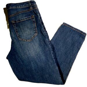 Ella Moss  High-Rise Jeans  sz 10/30  Slim Ankle  5 pocket  Stretch  25" ins EXC